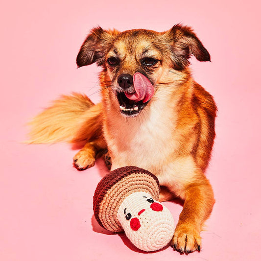 Cotton Crochet Mushroom Dog Toy