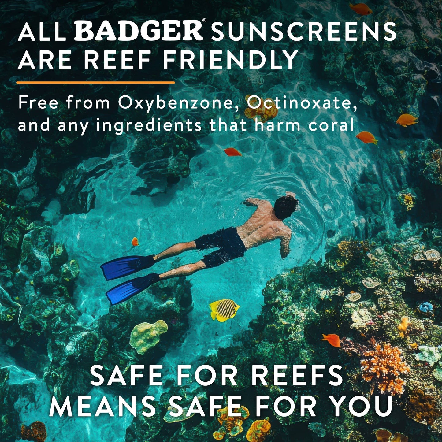 Badger - Badger Mineral Sunscreen Cream SPF 50, Zinc Oxide Sun Care