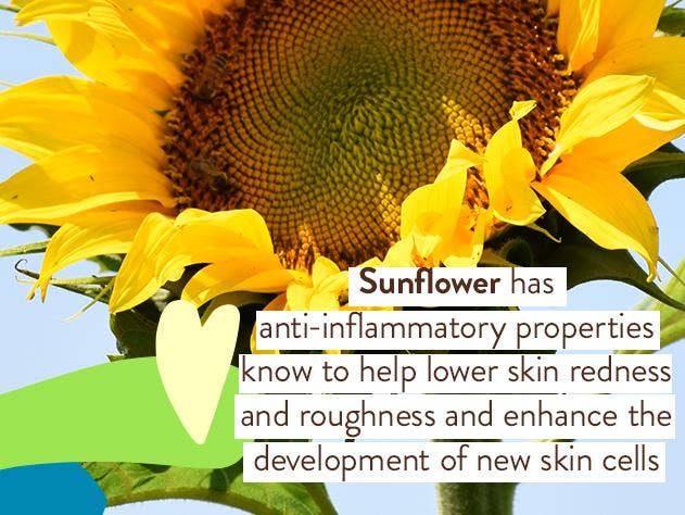 Babo Botanicals - Sheer Zinc Mineral Sunscreen Lotion SPF30